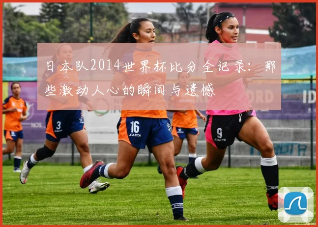 日本队2014世界杯比分全记录:那些激动人心的瞬间与遗憾