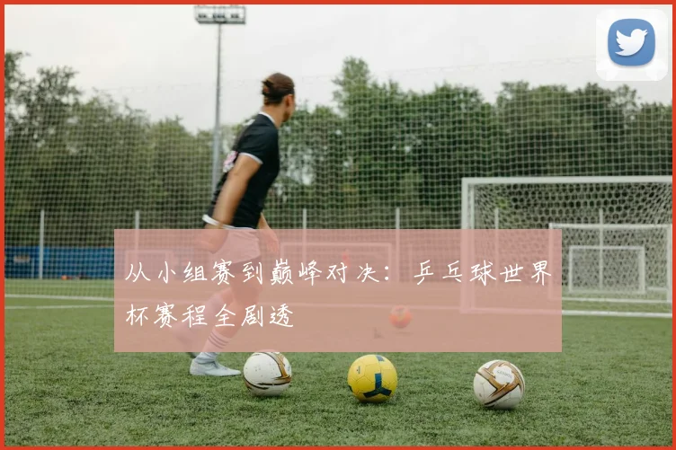 从小组赛到巅峰对决：乒乓球世界杯赛程全剧透
