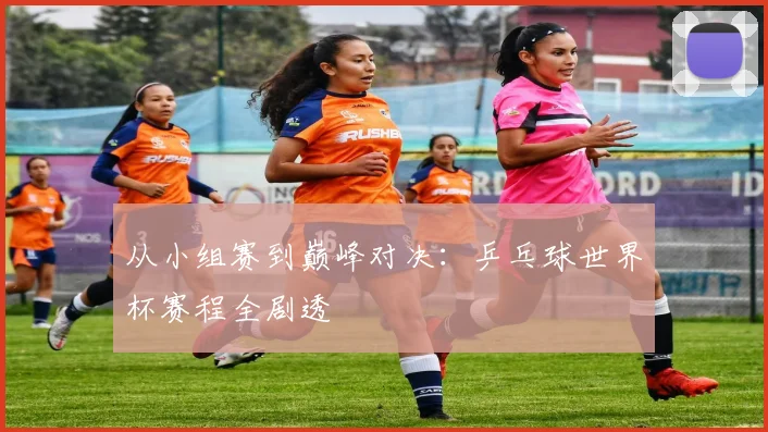 从小组赛到巅峰对决：乒乓球世界杯赛程全剧透