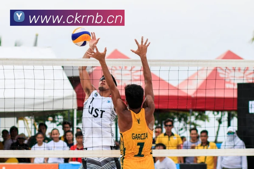 星空体育官方链接平台生态图