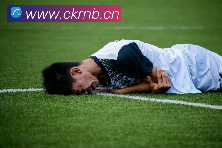 星空体育官方链接APP 封面图